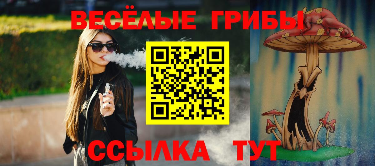 Галлюциногенные грибы Psilocybe Дубна
